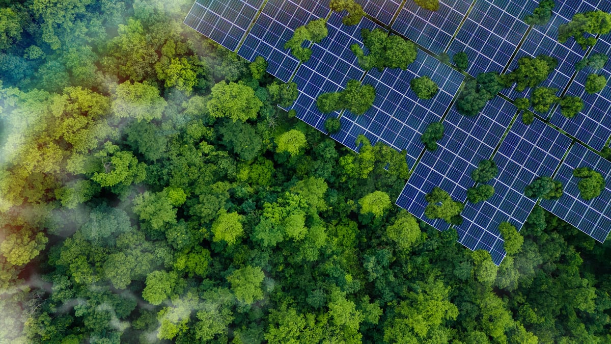 Painéis solares em floresta verde, energia sustentável